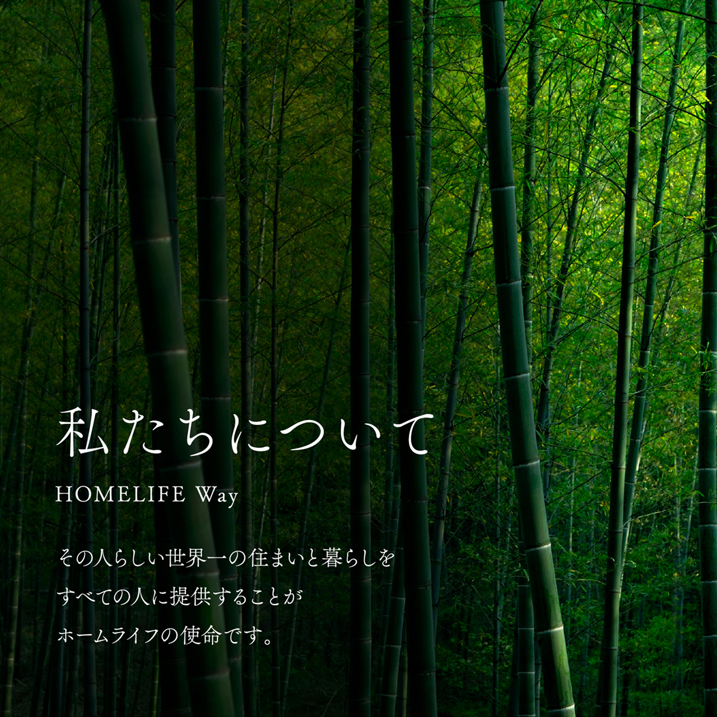 私たちについて